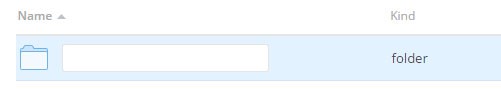 Name your new folder