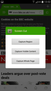 Dolphin Screen Cut options