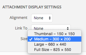 Attschement display settings size