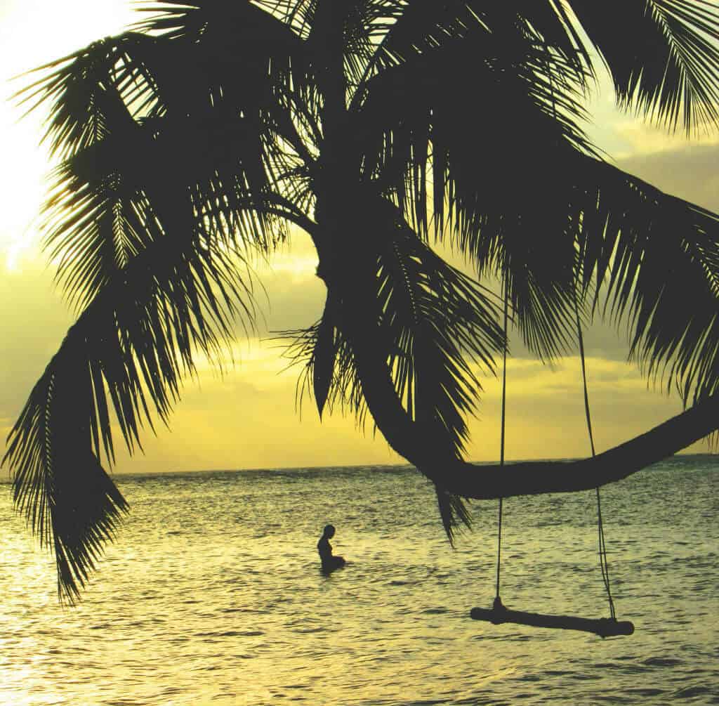 Palm tree swing with swimmer in the sea