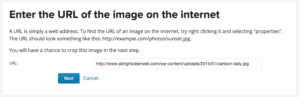 Enter the image URL