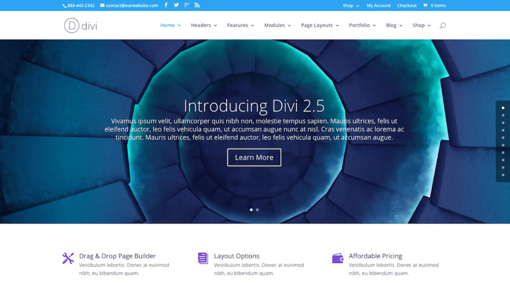 Divi from Elegant Themes