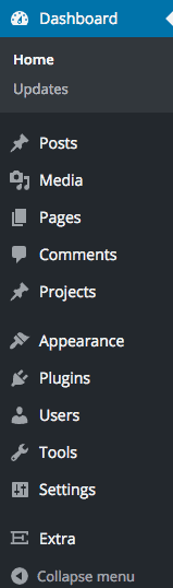 Dashboard menu for Extra theme, showing Projects