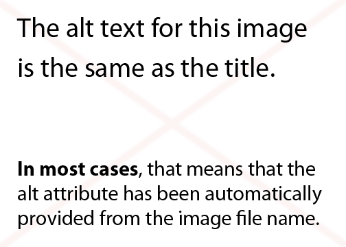The alt text for this image is the same as the title.
