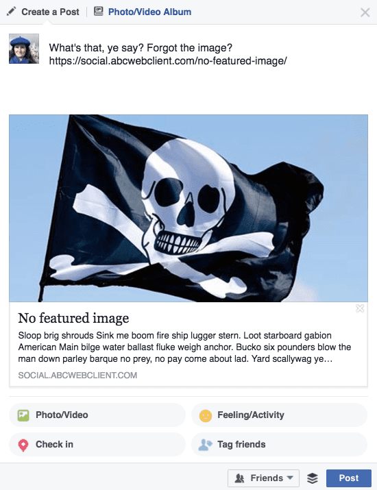 Link preview showing a skull and crossbones flag