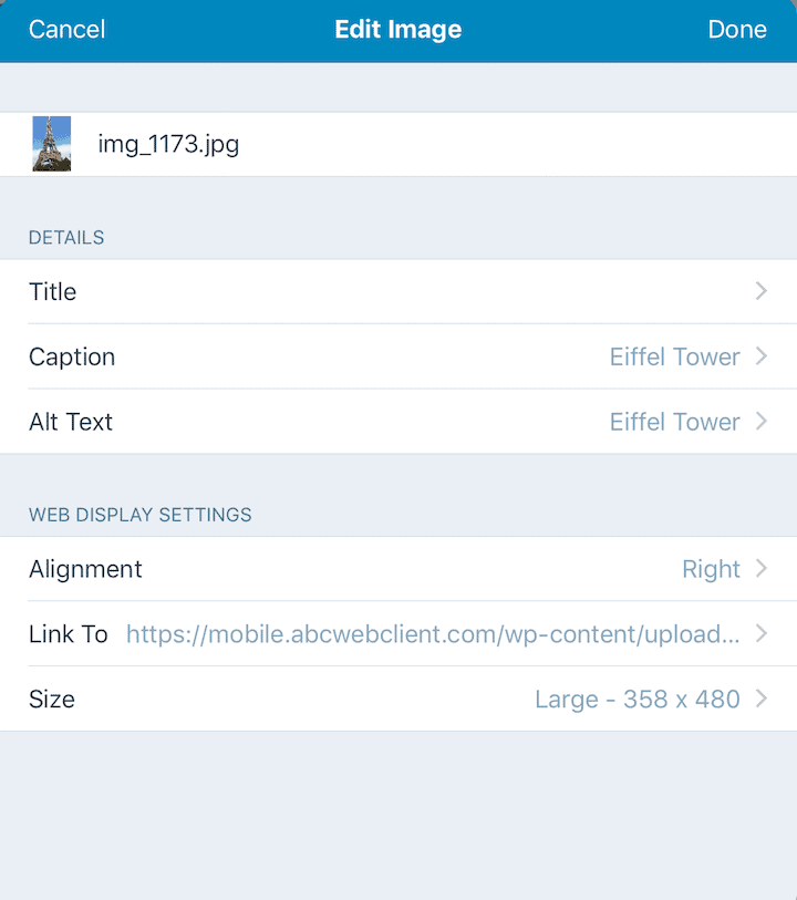 Edit Image dialog on the WordPress iPad app