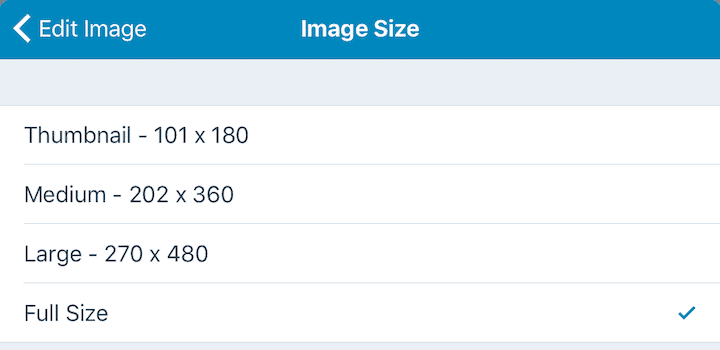 Choice of image sizes on the WordPress iPad app