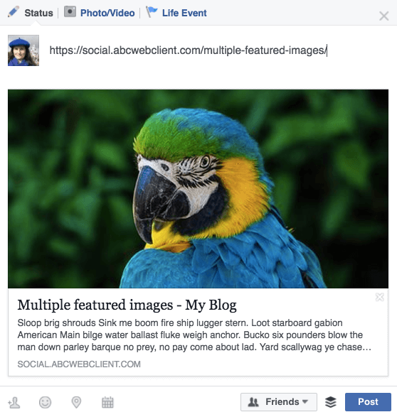 Facebook preview image of a parrot