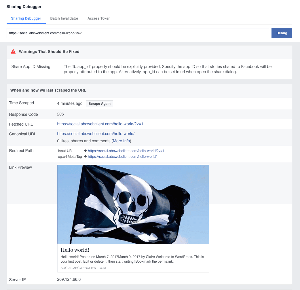 Sharing Debugger showing link with image of a skull and crossbones flag