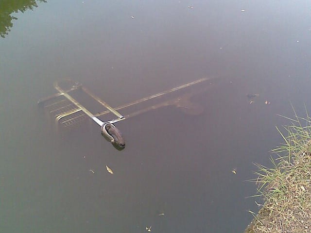 submerged shopping trolley