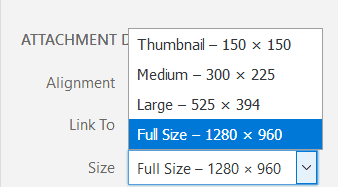 A dropdown of image sizes to insert on a page
