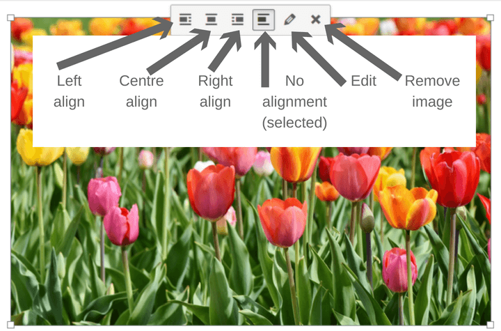 Selecting an image in the Classic Editor