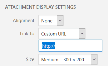 Custom URL chosen