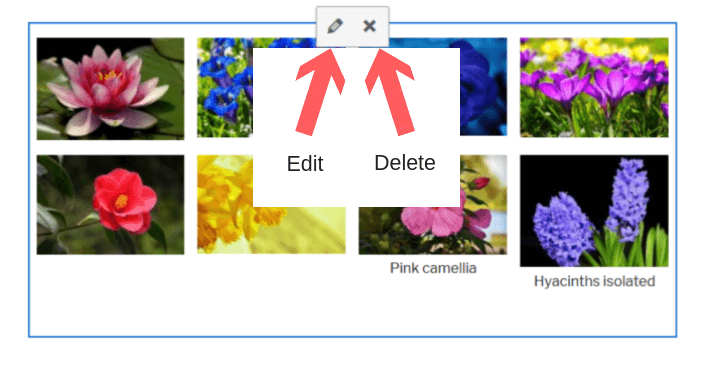 Edit or delete a gallery buttons