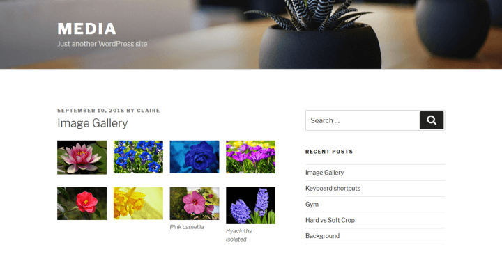 A WordPress image gallery in Twenty Seventeen theme