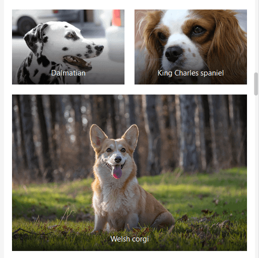 3 column Gallery of dog images on a mobile device