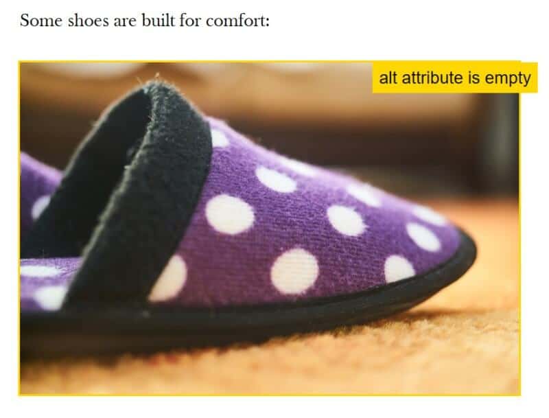Some shoes are built for comfort - purple slippers (missing alt text)