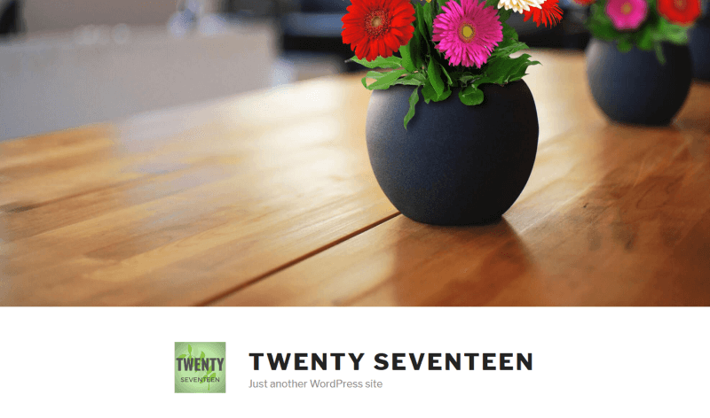 Twenty Seventeen full cover image without gradient and background