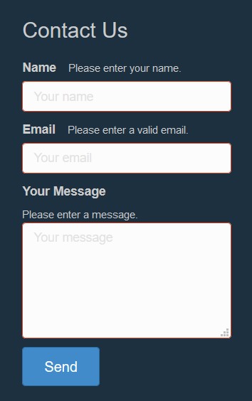 Contact form submitted with errors