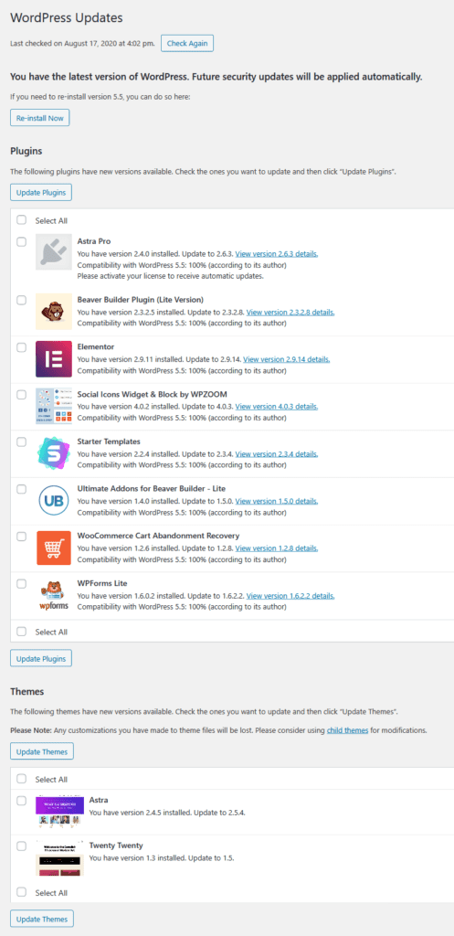 WordPress Automatic Plugin and Theme Updates – Should You Use Them? - A ...
