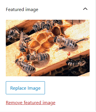 Remove or replace featured image