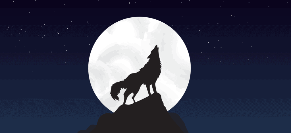 A lone wolf howls at the moon